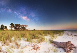 St. George Island Florida State Park